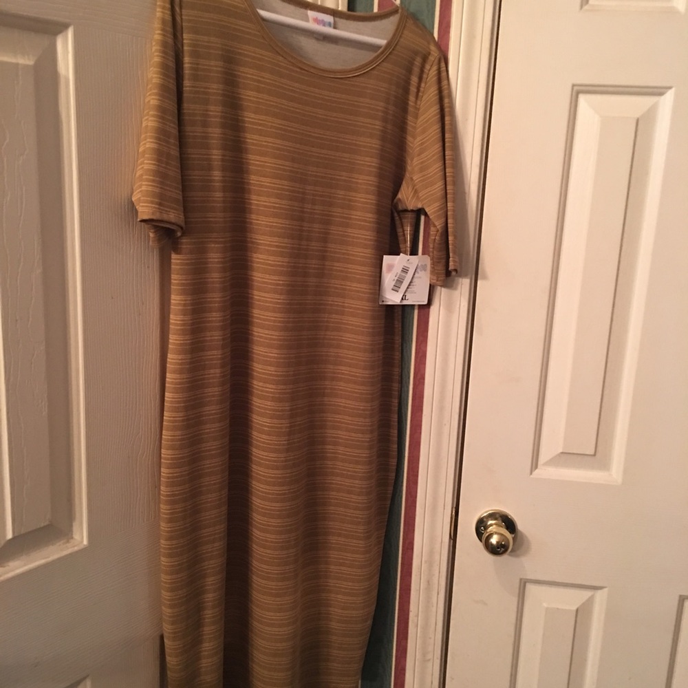 New with tag Lularoe Julia Dress