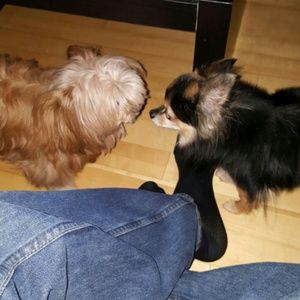 Meet your Posher, Cheryl