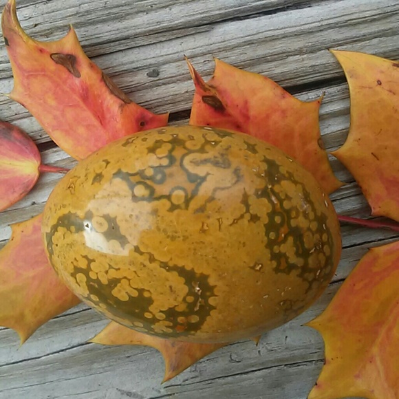 Ocean Jasper Palm Stone, Crystal Healing - Picture 2 of 4