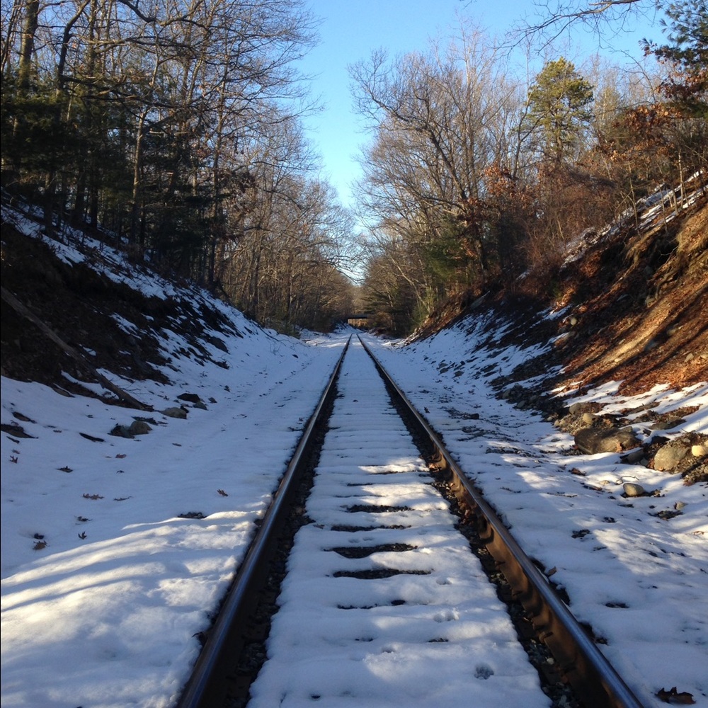 Meet your Posher, Benjamin