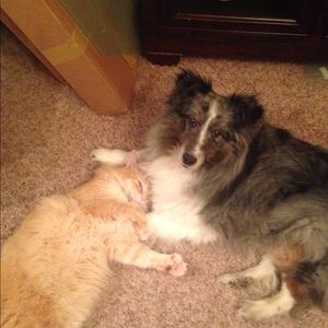 Meet your Posher, Judy