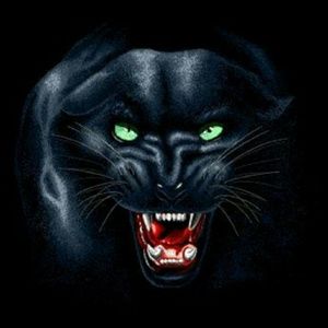 Meet your Posher, Melida