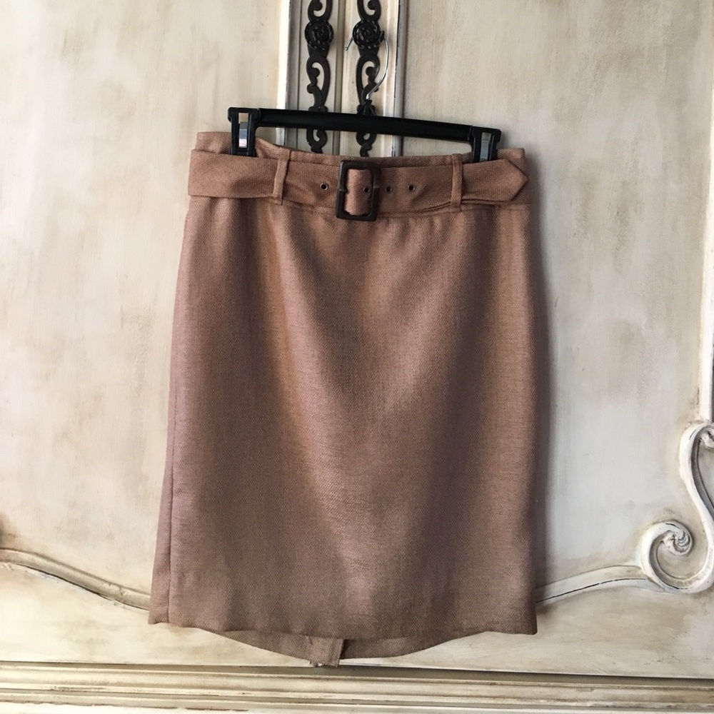 The Limited skirt NWOT