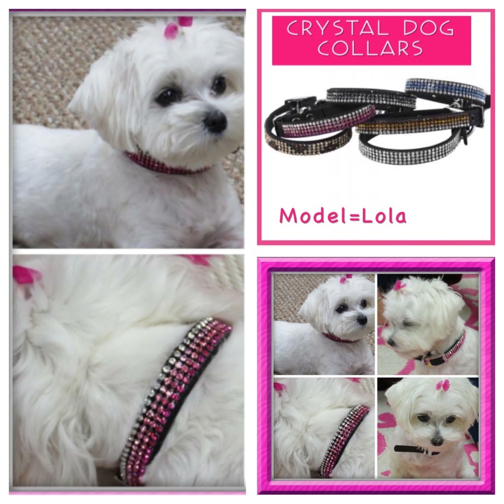 Diamond Diva Dog Crystallized Dog Collars, NWT