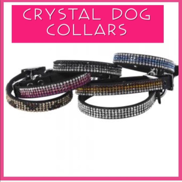 Diamond Diva Dog Crystallized Dog Collars, NWT - Picture 5 of 8