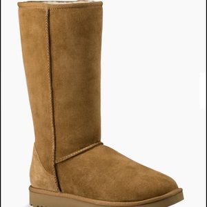 Classic Tall Uggs