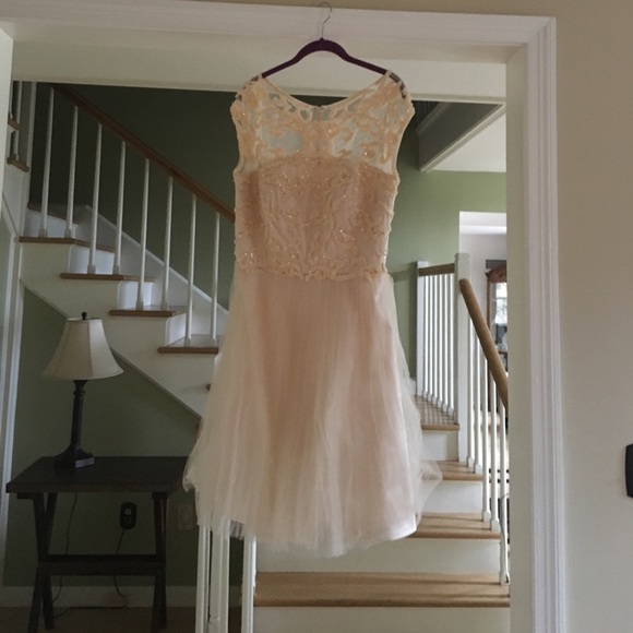 Champagne colored medium length dress - Picture 5 of 5