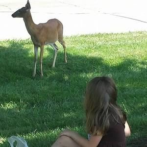 Meet your Posher, Lesa