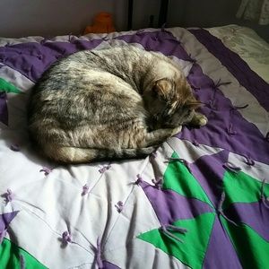 Meet your Posher, Connie