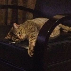 Meet your Posher, Kimberly