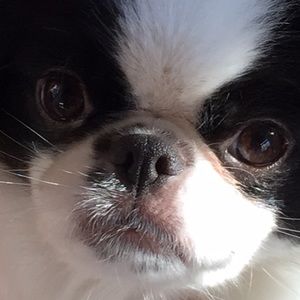 Meet your Posher, Jack