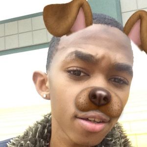 Meet your Posher, Donald