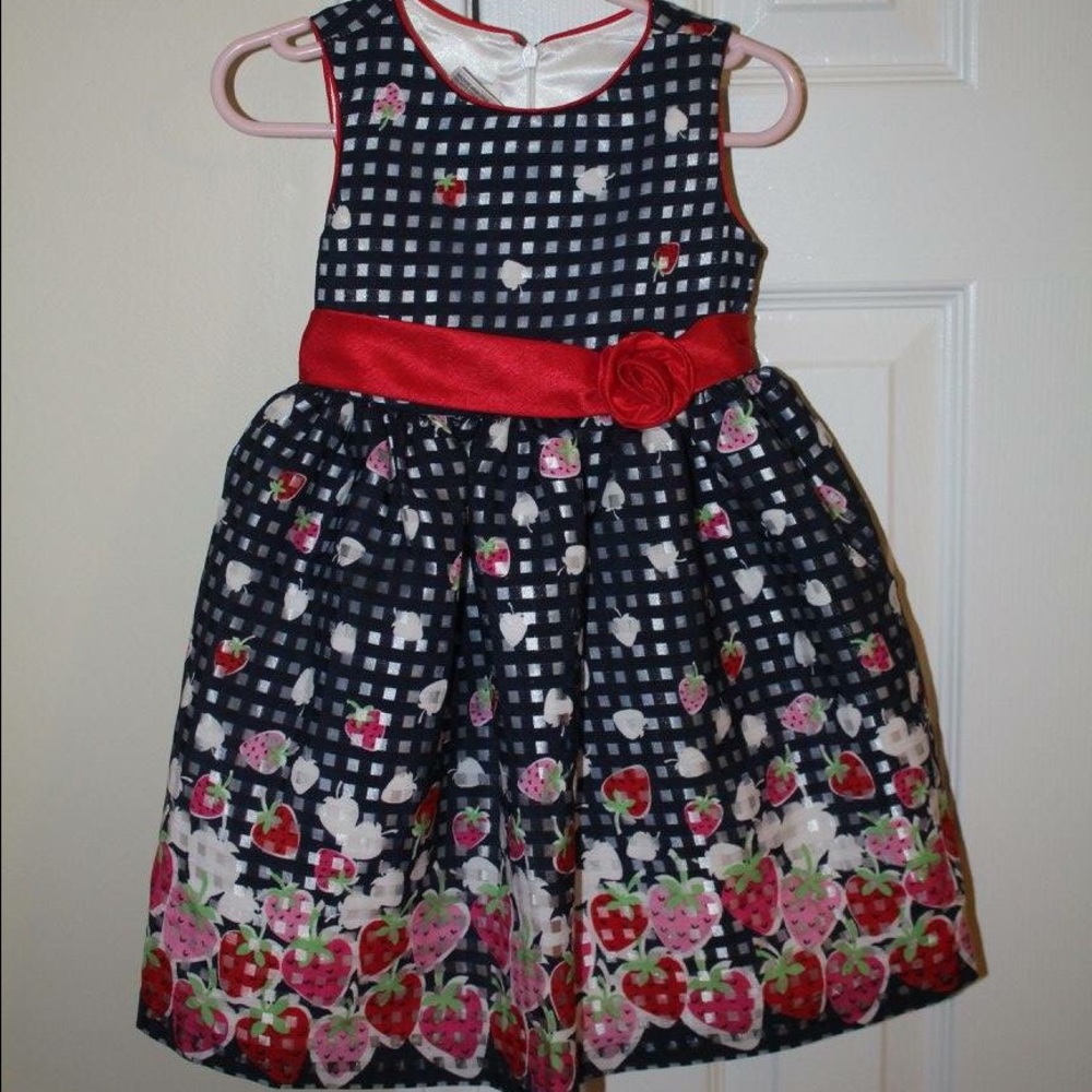 Party dress brand American Princess