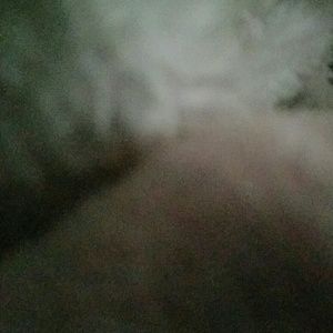 Meet your Posher, Shardae