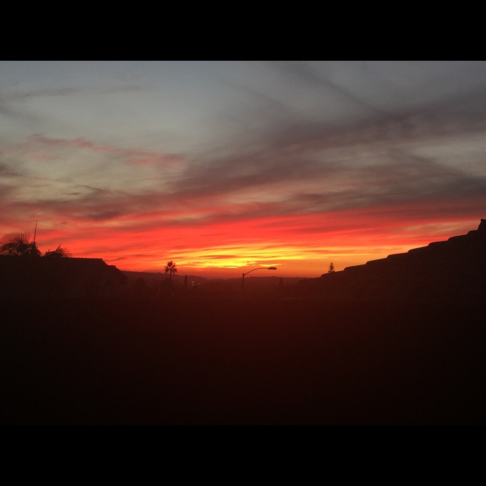 Meet your Posher, Richard