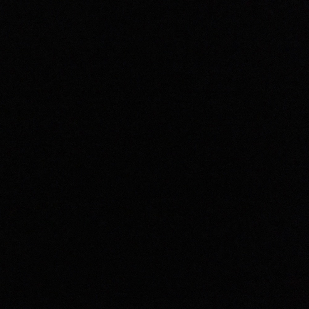 Meet your Posher, Delaney