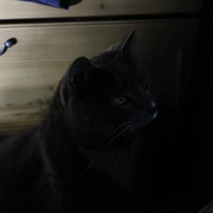 Meet your Posher, Edmond