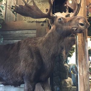 Meet your Posher, Beverly