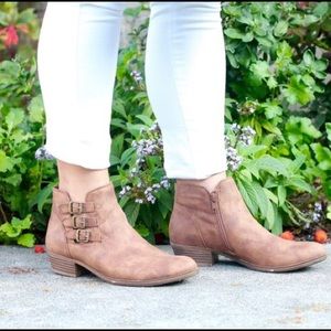 Shoes - Sugar Shoes Booties! Shoes - Sugar Shoes Booties!