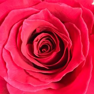 Meet your Posher, Hillary