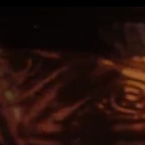 Meet your Posher, Abu