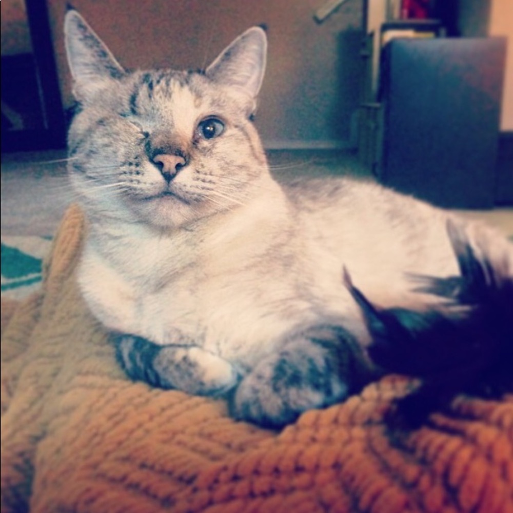 Meet your Posher, Kelsey