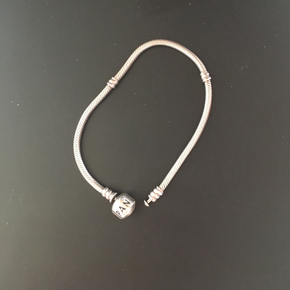 pandora charm bracelet