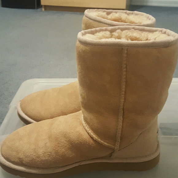 UGG Shoes - Authentic Short classic tan UGG boots