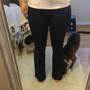 Express Stella Low Rose Boot Cut Black Wash Jeans