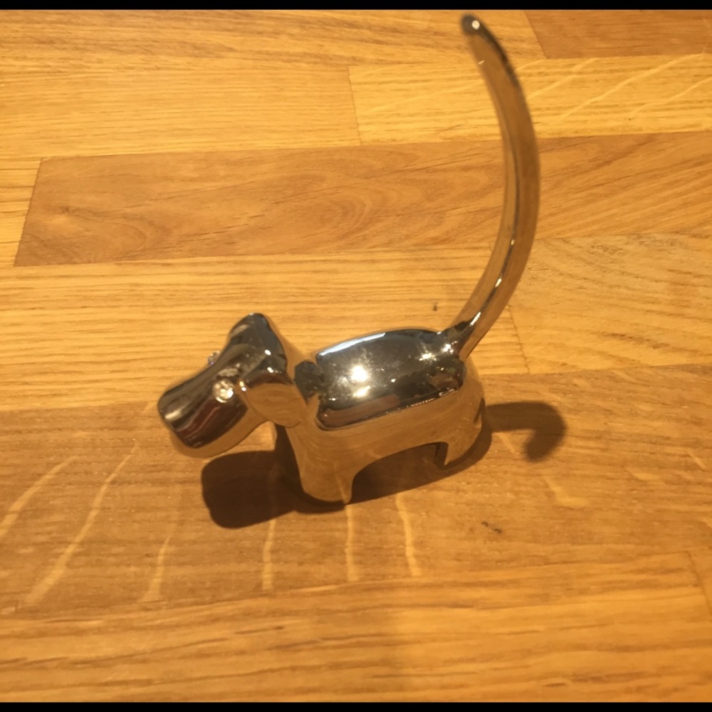 Dog ring holder