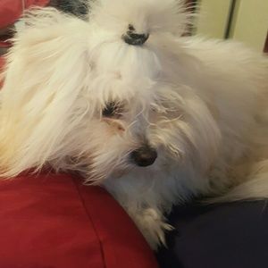 Meet your Posher, Silvia