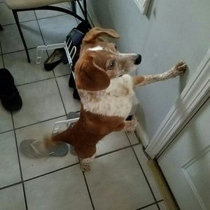 Meet your Posher, Gina