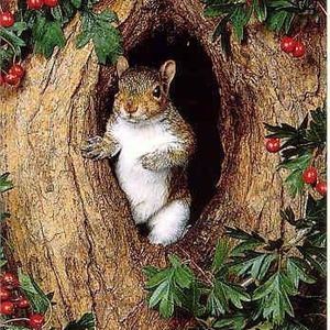 Meet your Posher, Meg