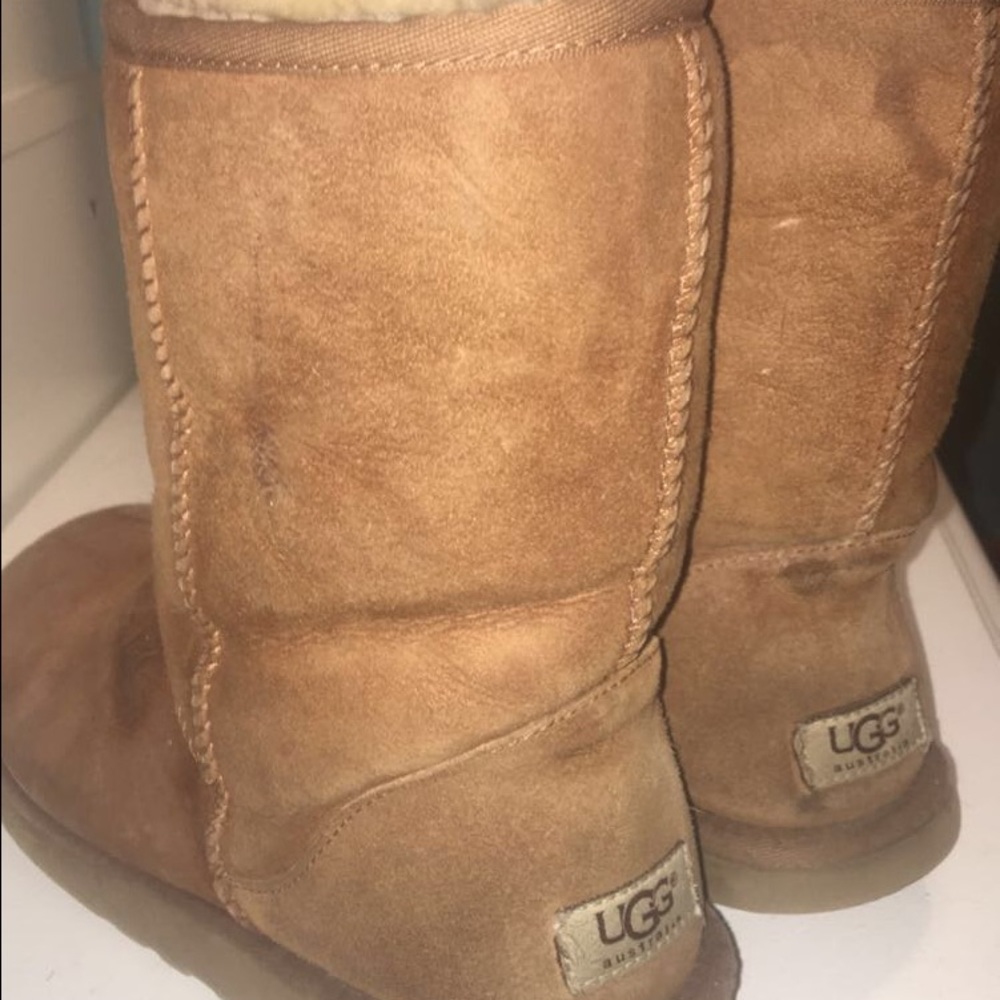 Authentic UGG Classic Short Chestnut Boots