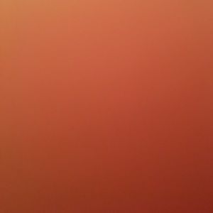 Meet your Posher, Devon