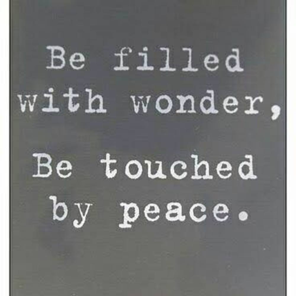 Meet your Posher, Judy