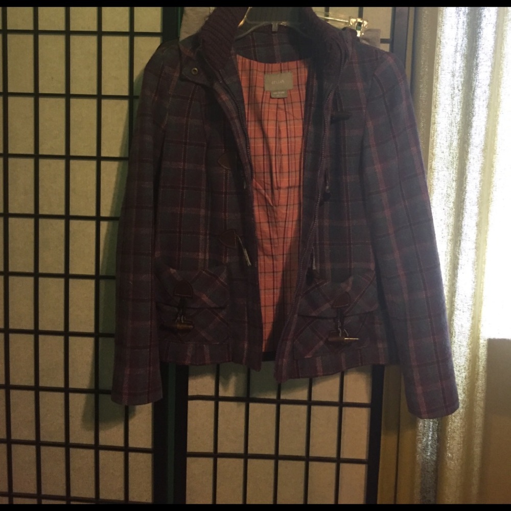 Purple Coat