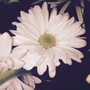 Meet your Posher, Beatriz