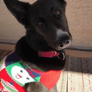 Meet your Posher, Aeris