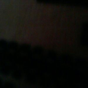 Meet your Posher, Paloma