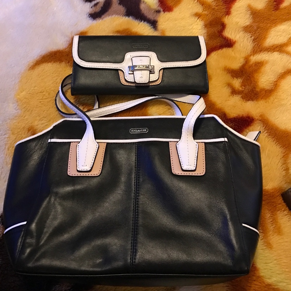 Multicolored purse and wallet set