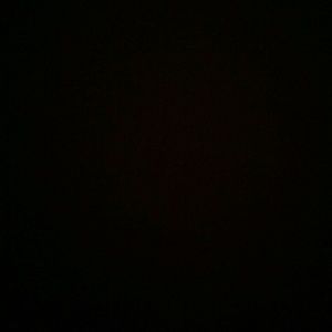 Meet your Posher, Ella