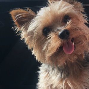 Meet your Posher, Nicole