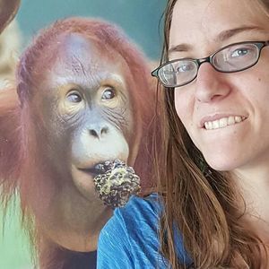 Meet your Posher, Bailie