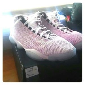 Air Jordan horizon lows size 13