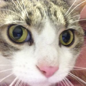 Meet your Posher, Alex