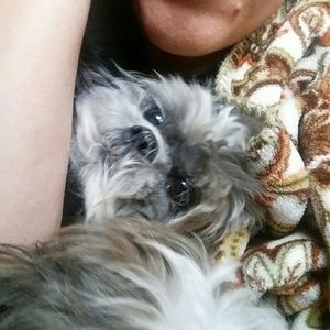 Meet your Posher, Sandy