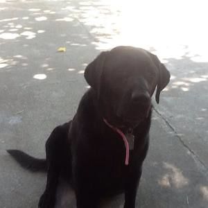 Meet your Posher, Danny