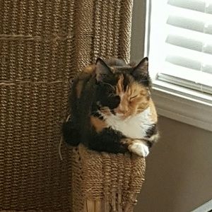 Meet your Posher, Bobetta