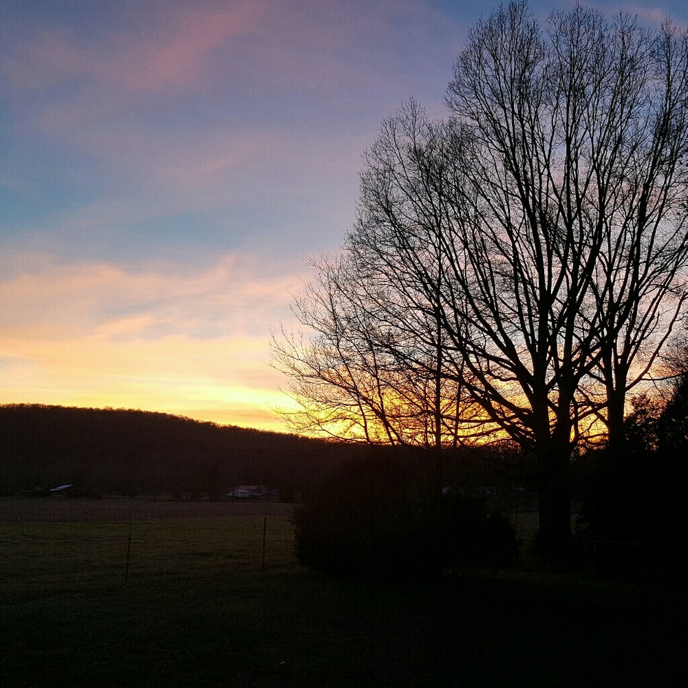 Meet your Posher, Felicia